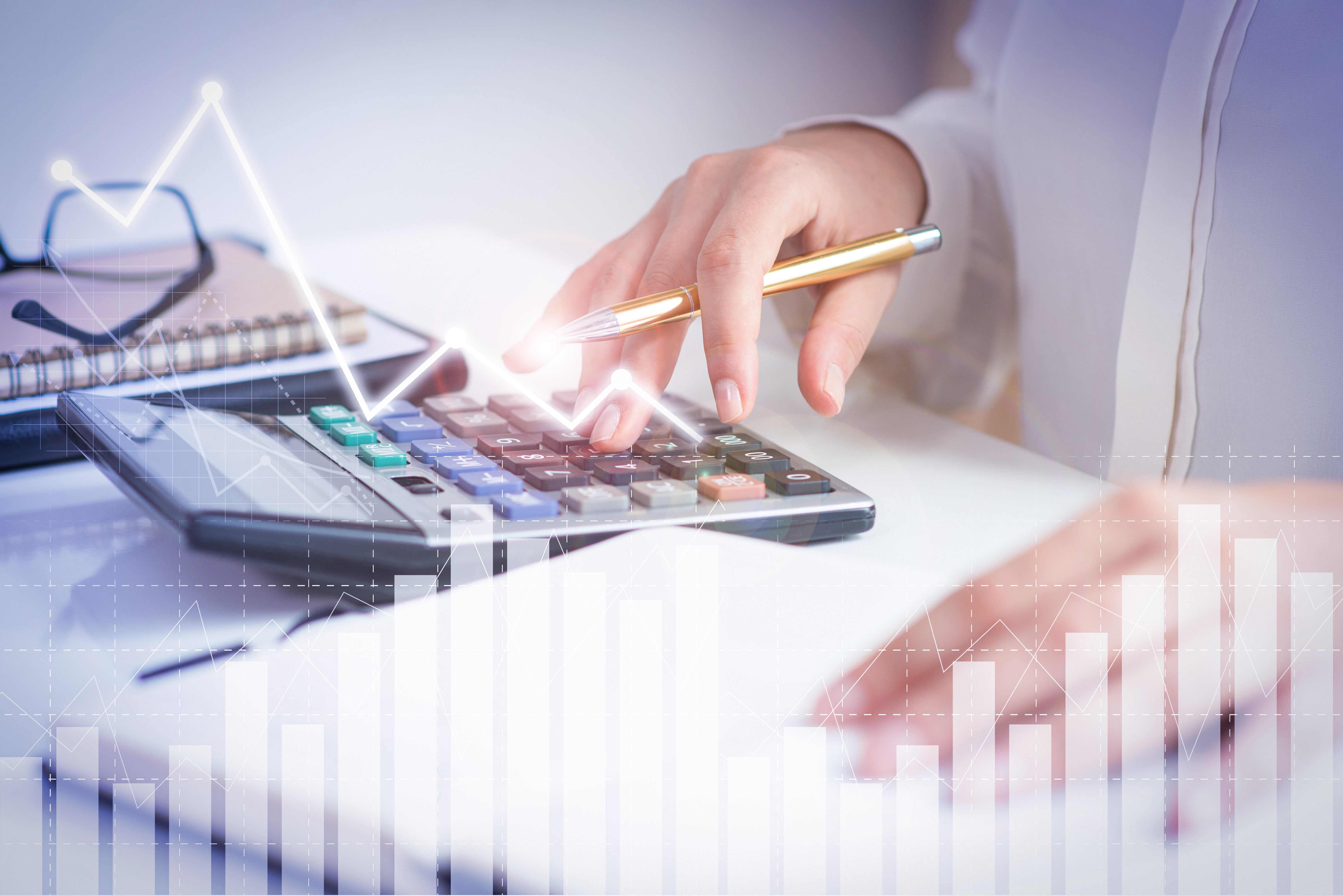 Finanzbuchhaltung und wirtschaftliche Auswertung